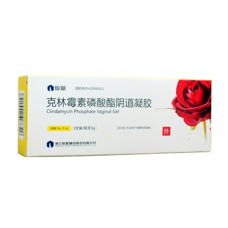 克林霉素磷酸酯阴道凝胶