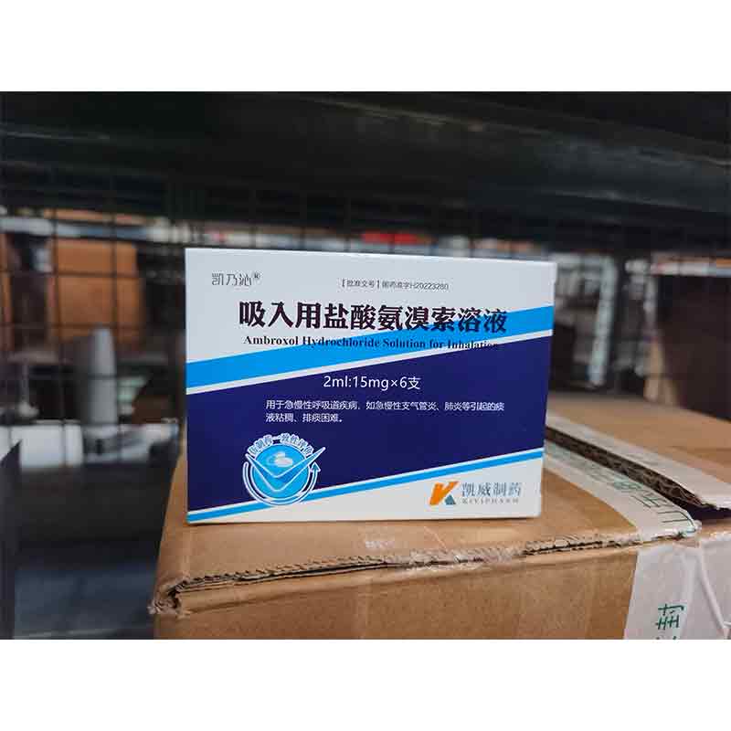 吸入用盐酸氨溴索溶液