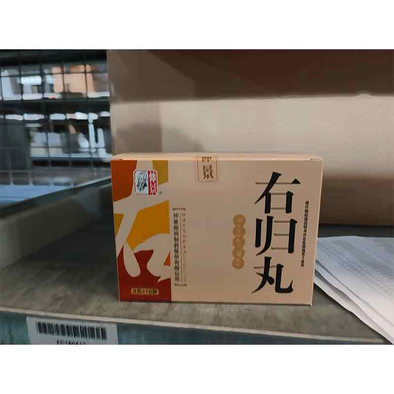 右归丸（小蜜丸）