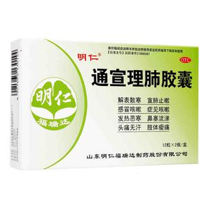 通宣理肺胶囊