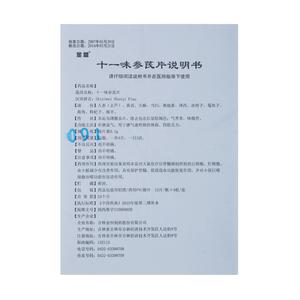 十一味参芪片